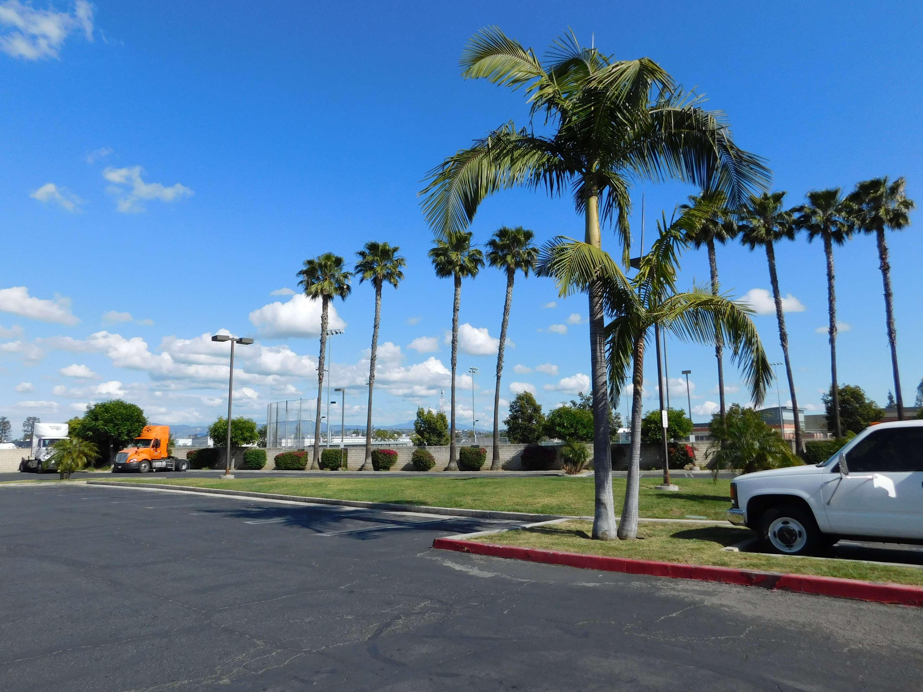 Best Western Plus - Anaheim Orange County Hotel Placentia Exterior photo